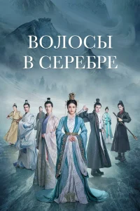  Волосы в серебре 